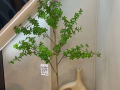 -素禅棋牌会所(海阳路店)