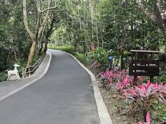 -七仙岭君澜度假酒店