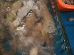 -清水湾3号(东方小周海鲜店)