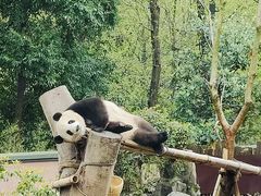 -杭州动物园