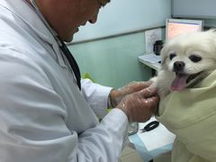 -纳吉亚猫专科动物医院博雅分院