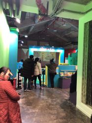 -恐龙探索乐园(磁器口店)