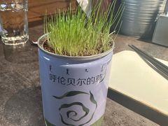 -很久以前羊肉串(昌里路三钢里店)