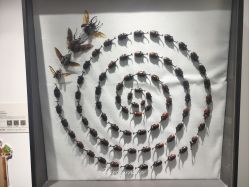 -酷嗒动物文化乐园(cutezoo西溪乐天城店)