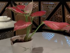 -上上席川菜(凯德乐峰广场店)