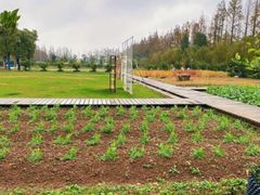 -前小桔亲子创意农场·草莓采摘·露营烧烤