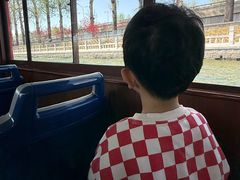-皇家御河游(紫御湾码头)