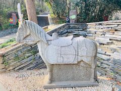 -上海佘山国家森林公园西佘山园