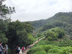 -西湖风景区十里琅珰-五云山