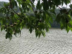 -鲁山国家森林公园