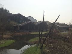 -西湖风景区-江洋畈生态公园