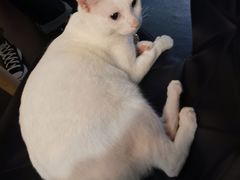 -Doors独立剧情密室(东门分店)