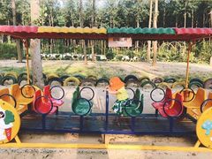 -合肥滨湖国家森林公园