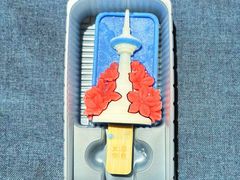 -中央广播电视总台(光华路办公区)