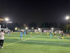 -和达·悦自由体育公园