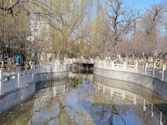 -桃花堤公园
