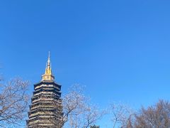 -红梅公园