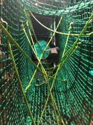 -奇幻丛林(佛罗伦萨小镇店)