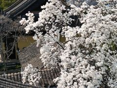 -常熟方塔园