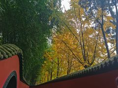 -成都武侯祠博物馆