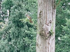 -前小桔亲子创意农场·草莓采摘·露营烧烤