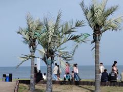 -日照灯塔风景区