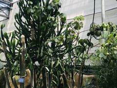 -南山植物园