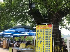 -老幺泉水鸡