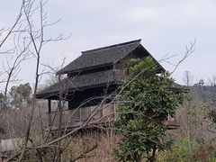 -杭州植物园