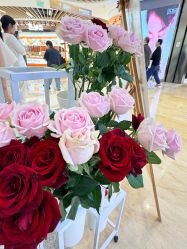 -苑苑vbeauty科技美容SPA
