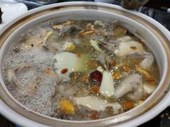 五指毛桃药膳鸽-鸽鸟轩(石岐店)