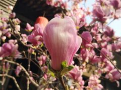-平遥县衙