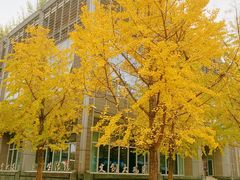 -江宁织造博物馆