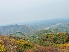 -天女山森林公园
