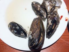 -阿军排档·烧烤
