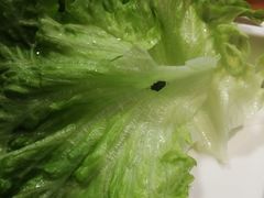 -村夫烤鱼·重庆鸡公煲(杨思店)