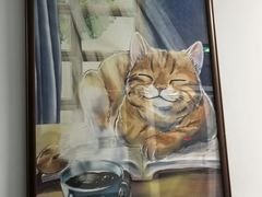 -北京赛佳动物医院