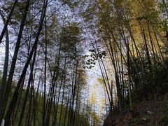 -千泷沟大瀑布旅游区