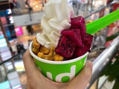 -Salud撒露欧洲冻酸奶(北苑上品店)