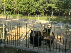 -秦皇岛野生动物园