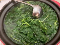 豆苗泉水汤-红城阁·上海味道(四平路店)