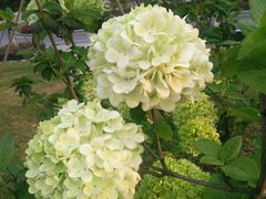 -西南民族大学南区(双流校区)