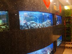 水产区-乾隆美食·本帮菜(黄河路店)