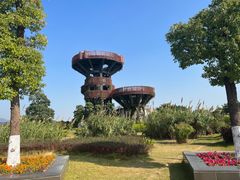 -芒洲湿地公园