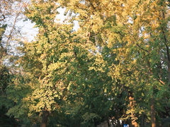 -八大关景区