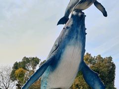 -海合安武汉极地海洋公园