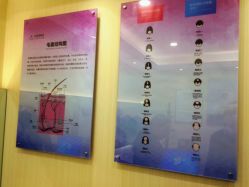 -碧莲盛·不剃发植发