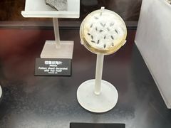 -河姆渡遗址博物馆