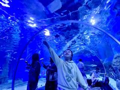 -顺德南宏海立方海洋公园