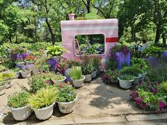 -沈阳植物园